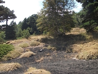 rrente Quarantore-20110911 124